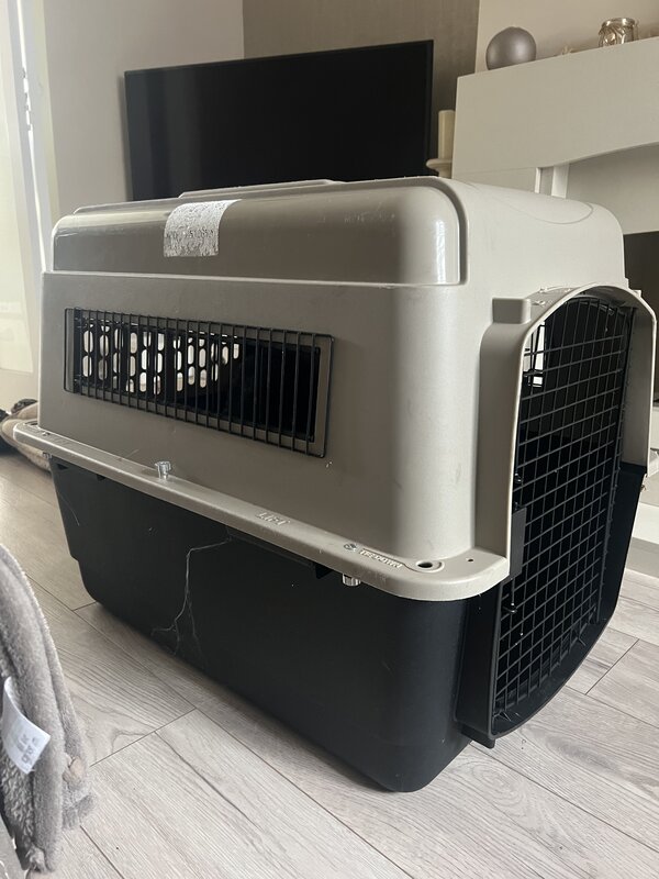 plastic-crate-for-pet-travel-uae-iata