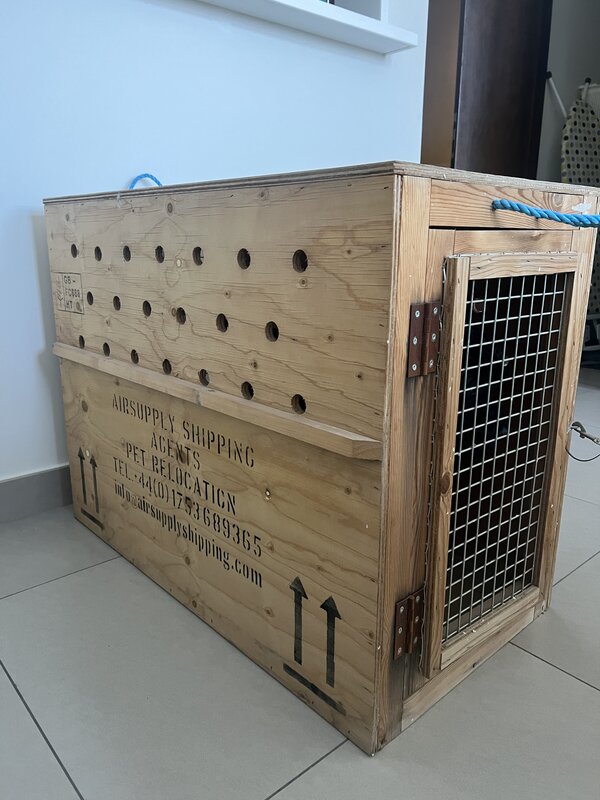 custom-made-wooden-crate-for-pet-travel