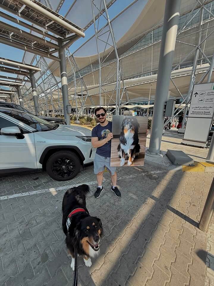 Australian Sheep Dog Arriving into the UAE using Paws and Planes Pets Relocation Services